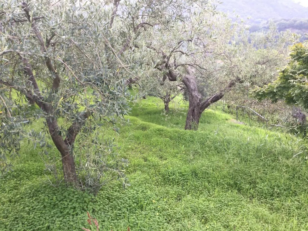 Campsite Gole Alcantara Mini Campeggio Privato Motta Camastra