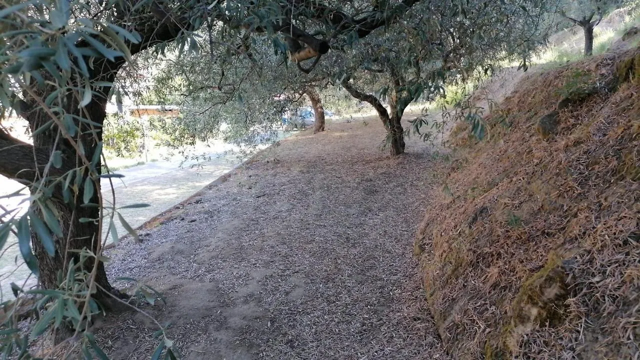 Gole Alcantara Mini Campeggio Privato Motta Camastra