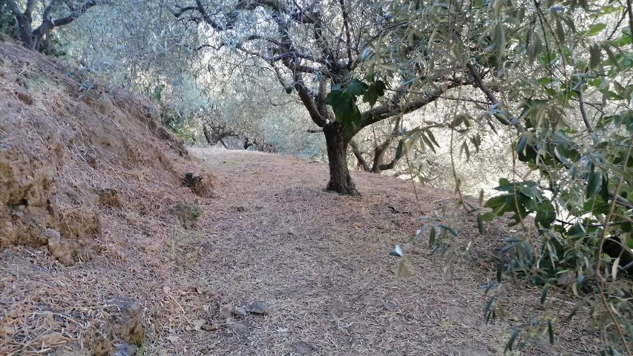 Campsite Gole Alcantara Mini Campeggio Privato Motta Camastra